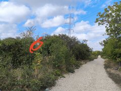 Popesti Leordeni, strada Viilor